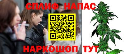 прущие грибы Обнинск