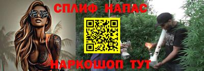прущие грибы Обнинск