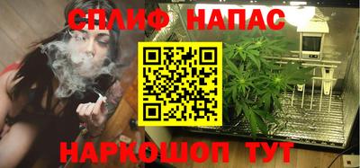 прущие грибы Обнинск