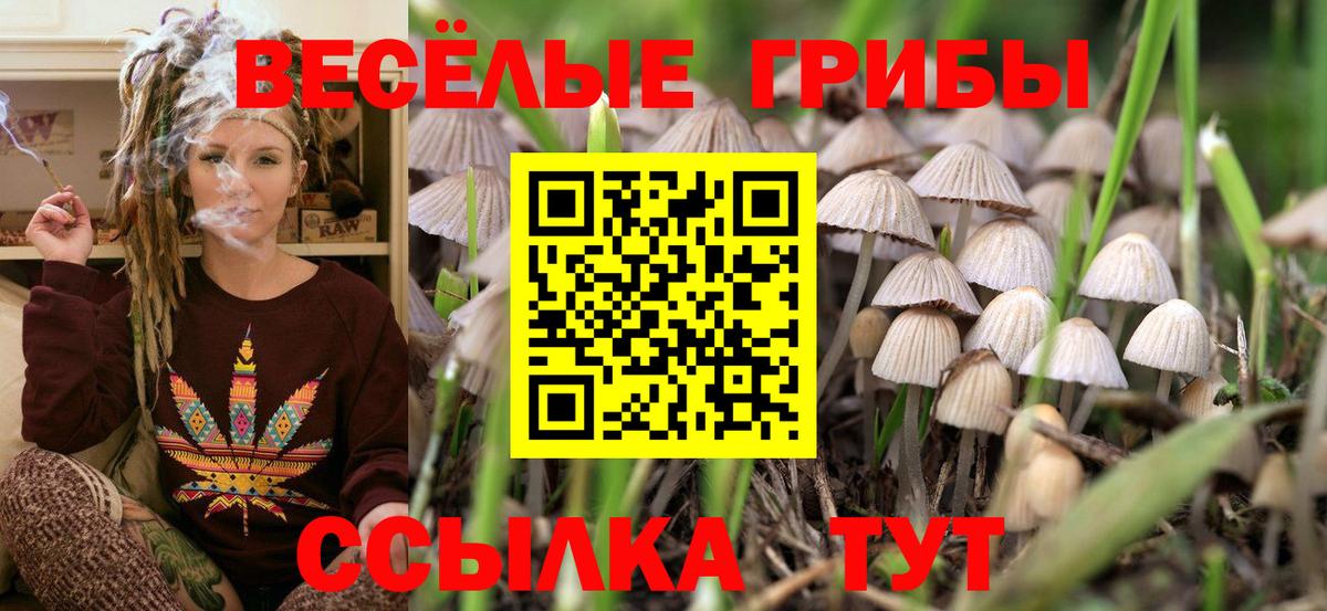 что такое наркотик  Вход с VPN  Галлюциногенные грибы мухоморы  Тавда  Псилоцибиновые грибы мухоморы 